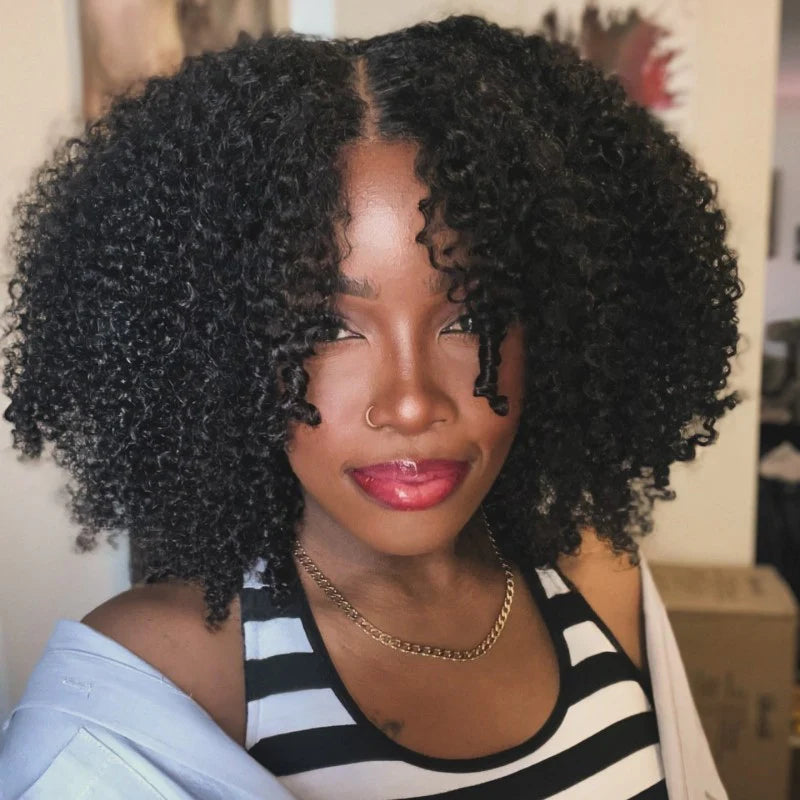Afro Curly Closure Wig