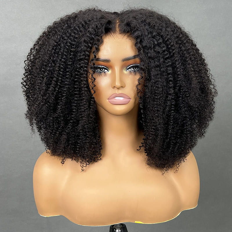 Afro Curly Closure Wig