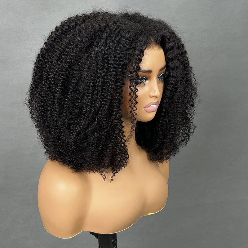 Afro Curly Closure Wig