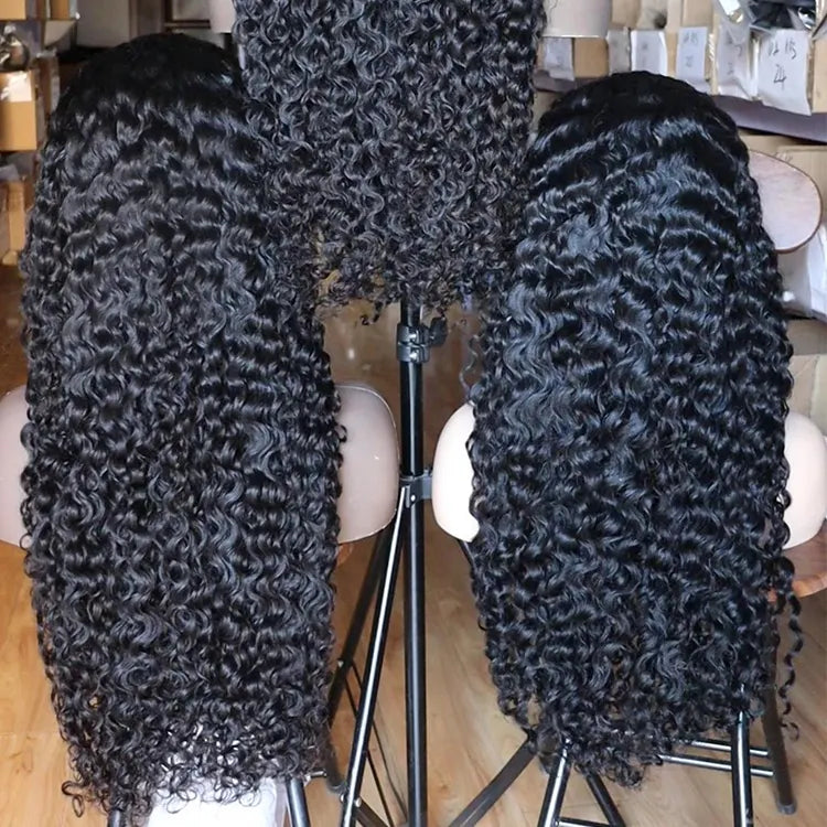 Raw Burmese Curly HD Lace Closure Wig