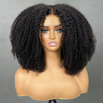 Afro Curly Closure Wig